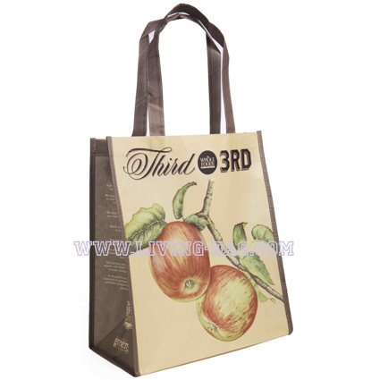 pp_non_woven_bag_2975.jpg