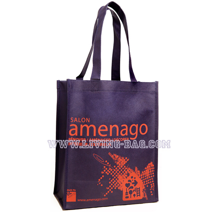 pp_non_woven_bag_3911.jpg