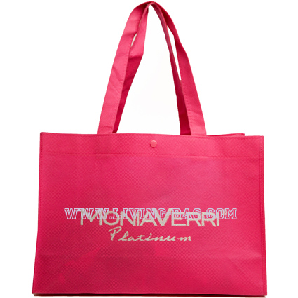 pp_non_woven_bag_3923.jpg