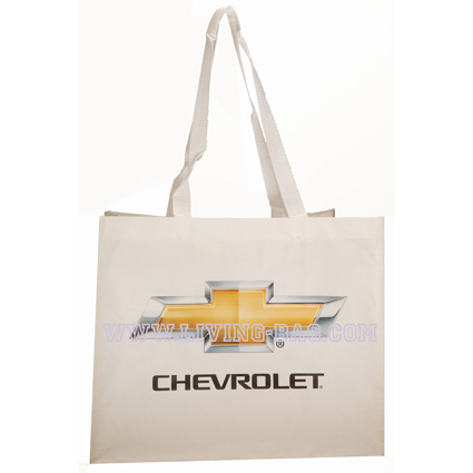 pp_non_woven_bag_3936.jpg